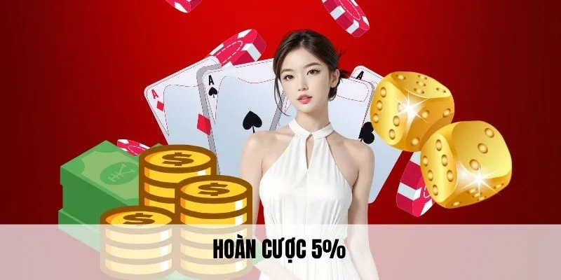 Hoàn Cược 5% - Khuyến Mãi Không Nên Bỏ Lỡ Tại XIN88