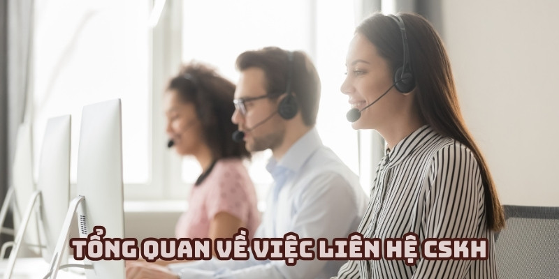 Liên hệ CSKH để nhận được sự hỗ trợ kịp thời